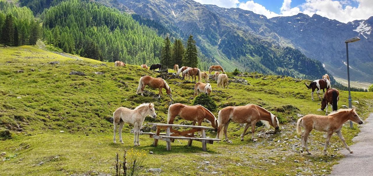 Gaestehaus Landhaus Tyrol Gries im Sellrain Zewnętrze zdjęcie