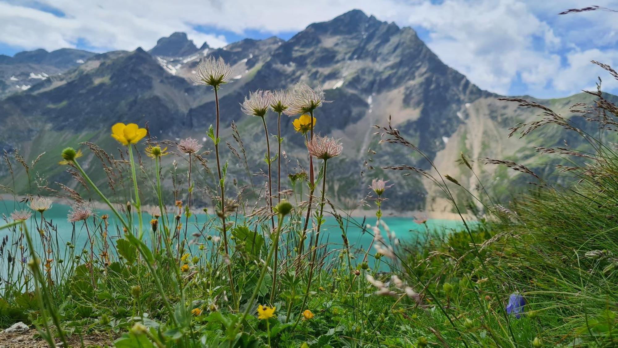 Hotel Gastehaus Landhaus Tyrol Gries im Sellrain Zewnętrze zdjęcie