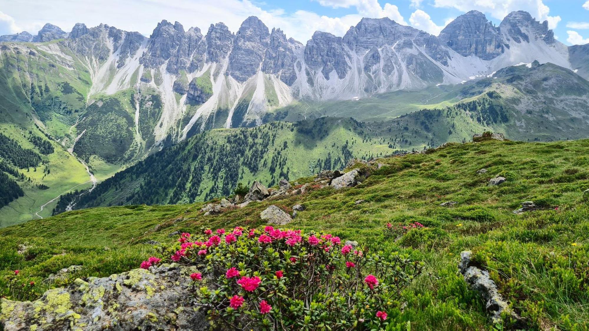 Gaestehaus Landhaus Tyrol Gries im Sellrain Zewnętrze zdjęcie