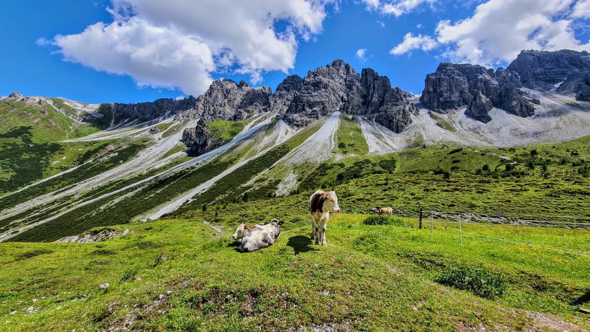 Hotel Gastehaus Landhaus Tyrol Gries im Sellrain Zewnętrze zdjęcie