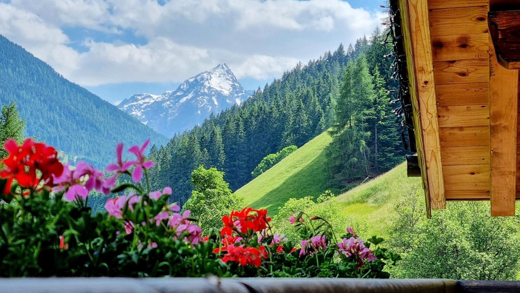 Gaestehaus Landhaus Tyrol Gries im Sellrain Zewnętrze zdjęcie